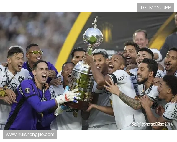 解放者杯欧洲球员身价排行揭秘 解放者杯欧洲球员身价排行揭秘